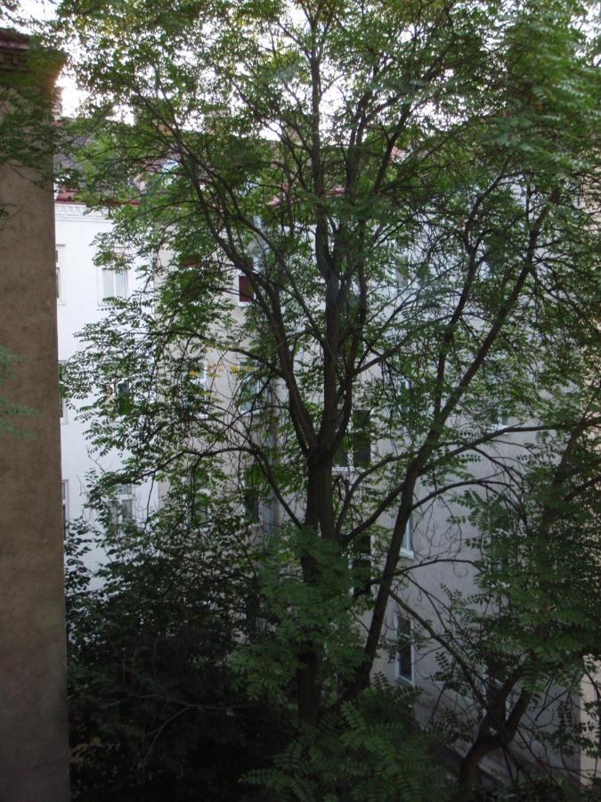 Augartenblick Penthaus 17 - Blick Zum Riesenrad Viena Exterior foto